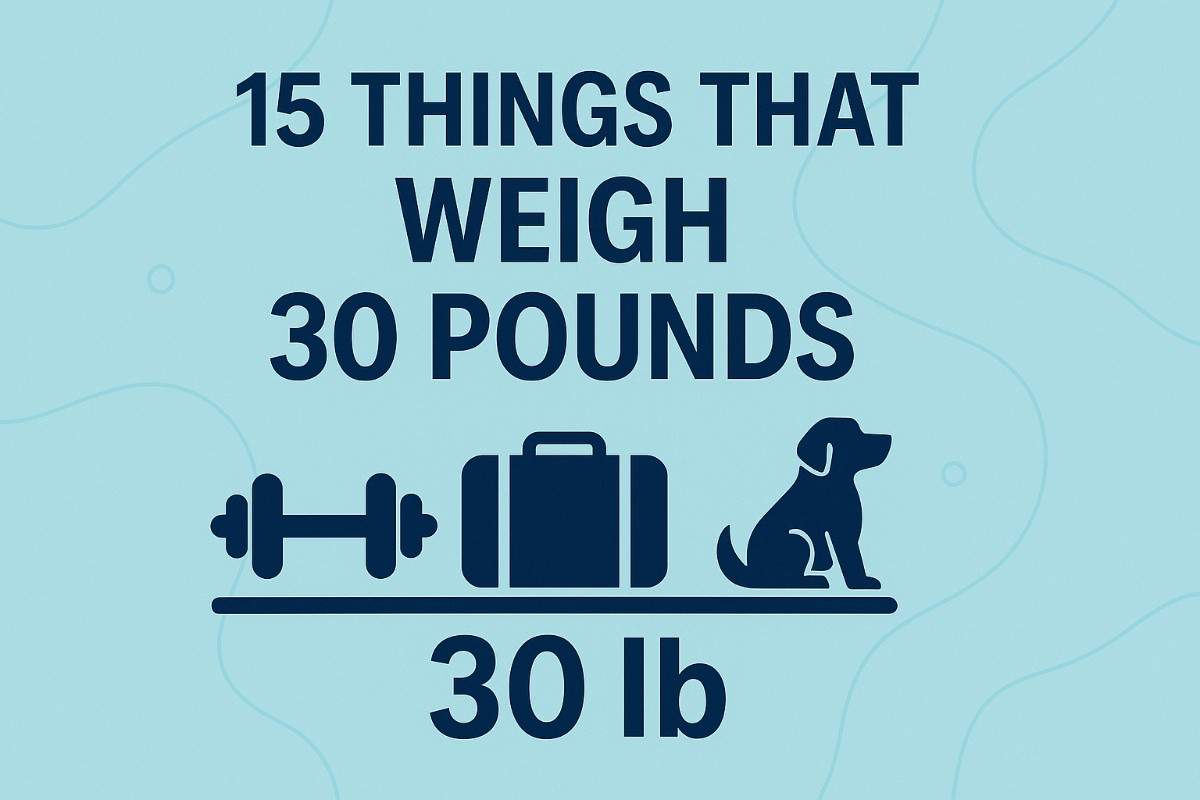 15 Things That Weigh 30 Pounds