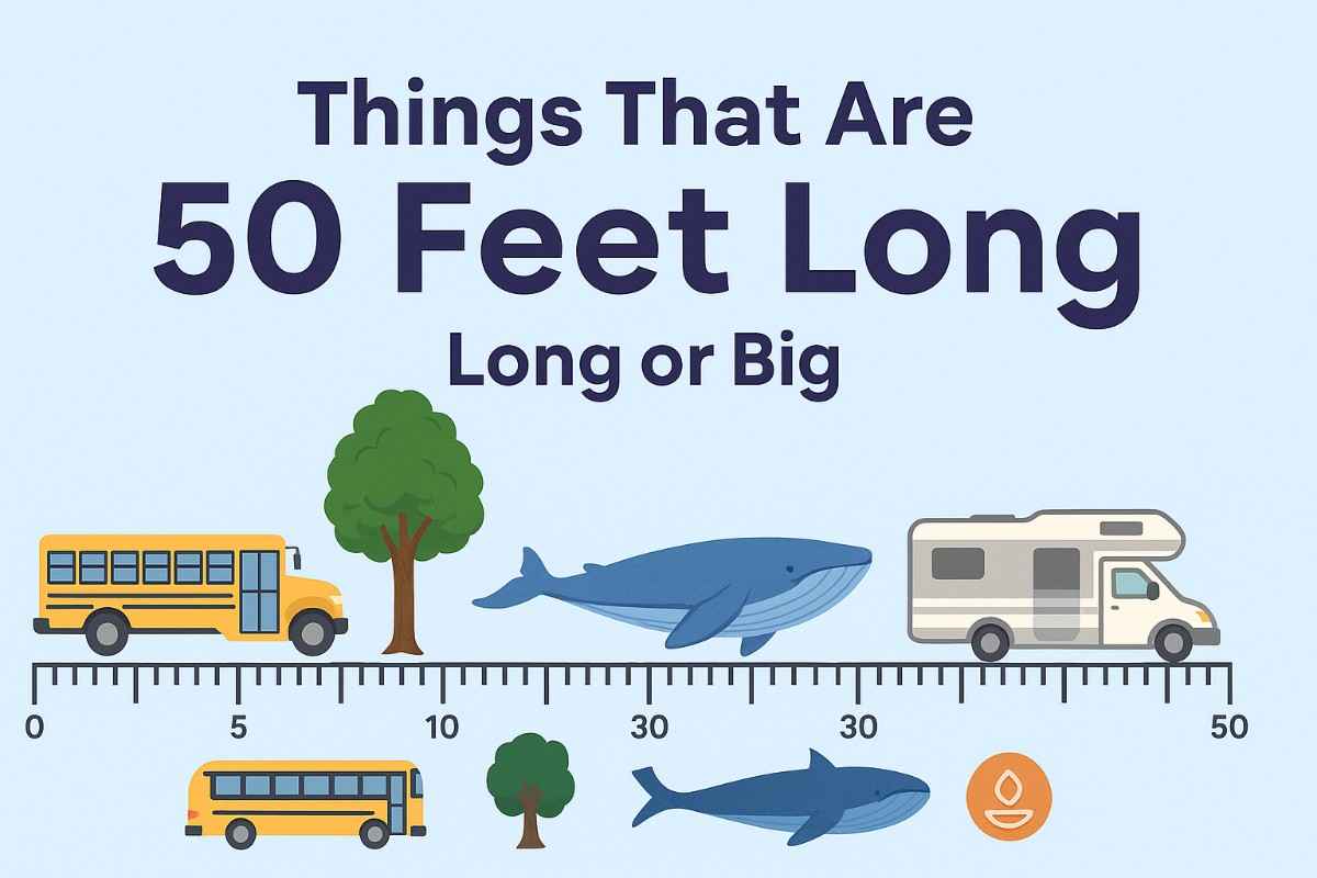 things that are 50 feet long or big